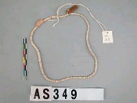 藏品(貝貨)的圖片